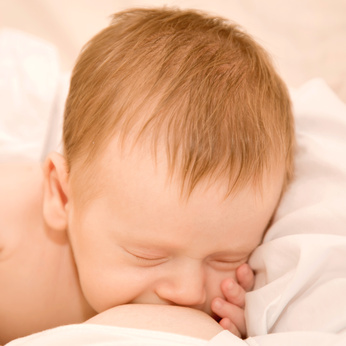 Suckling eating with his hand under his cheek.