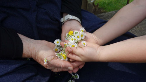 what-big-teeth-you-have-grandmother