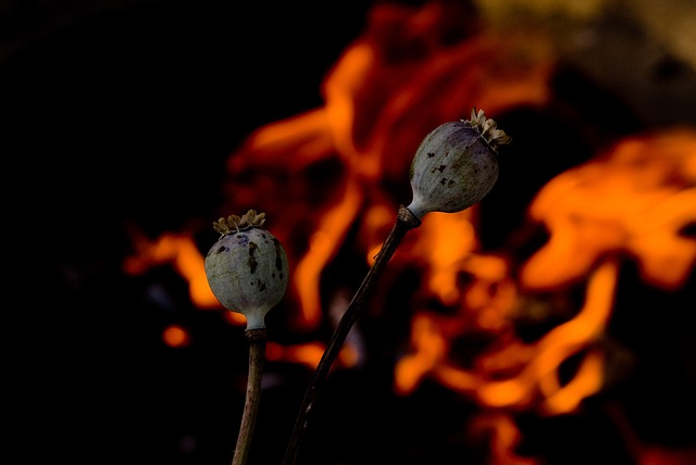 Opioid Use and Breastfeeding