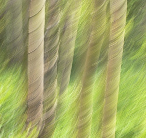 Preventing Osteoporosis: What You Can Do Right Now