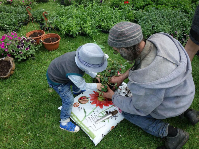 Surviving Bereavement 7 steps to help you on your journey