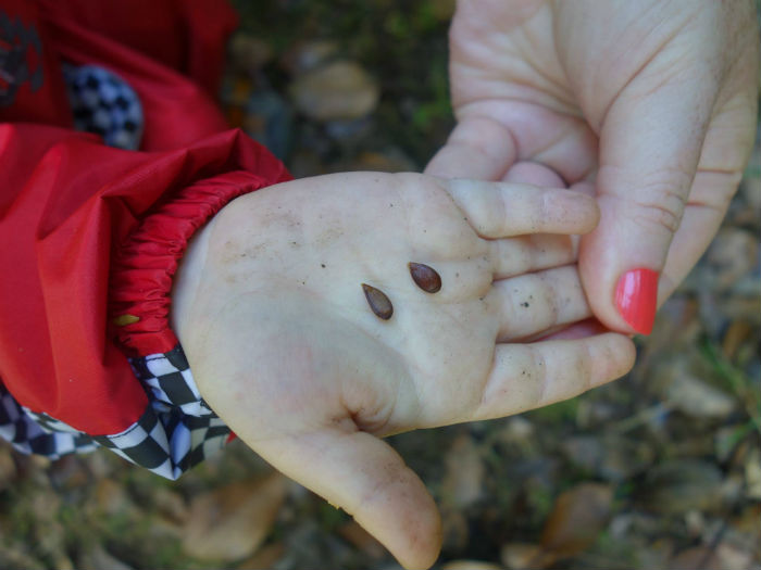 Surviving Bereavement 7 steps to help you on your journey