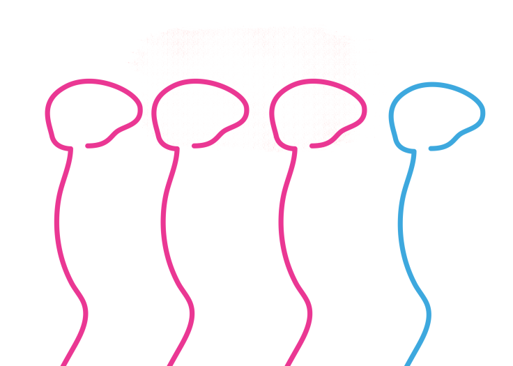 Multiple Sclerosis and the Impact of Breastfeeding