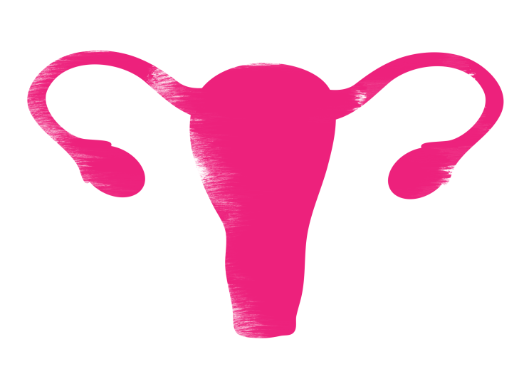 Endometriosis and Breastfeeding