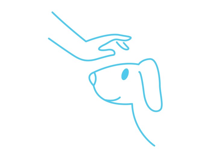 What Power Do Pets Have On Our Mental Well-Being?