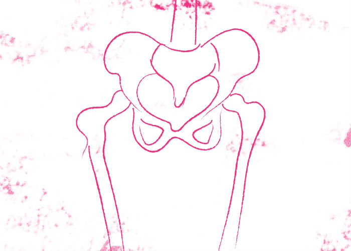 Bone Health in Pregnancy, Breastfeeding and Menopause